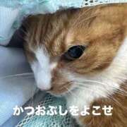 ヒメ日記 2026/01/02 11:52 投稿 すず 梅田アバンチュール