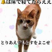 ヒメ日記 2026/01/19 11:19 投稿 すず 梅田アバンチュール