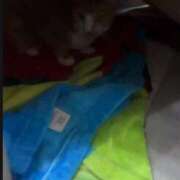 ヒメ日記 2026/01/20 10:40 投稿 すず 梅田アバンチュール