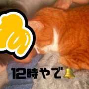 ヒメ日記 2026/01/26 12:23 投稿 すず 梅田アバンチュール