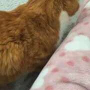 ヒメ日記 2026/01/26 13:32 投稿 すず 梅田アバンチュール