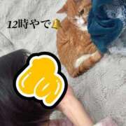 ヒメ日記 2026/01/27 12:22 投稿 すず 梅田アバンチュール