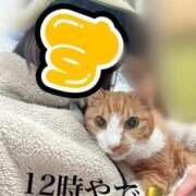 ヒメ日記 2026/01/31 12:22 投稿 すず 梅田アバンチュール