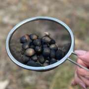 ヒメ日記 2026/01/31 16:52 投稿 すず 梅田アバンチュール