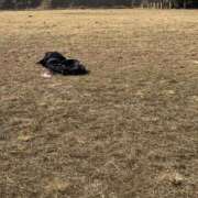 ヒメ日記 2026/02/01 13:02 投稿 すず 梅田アバンチュール