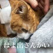 ヒメ日記 2026/02/03 12:52 投稿 すず 梅田アバンチュール