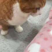 ヒメ日記 2026/02/03 19:12 投稿 すず 梅田アバンチュール