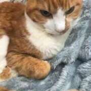 ヒメ日記 2026/02/05 21:13 投稿 すず 梅田アバンチュール