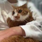 ヒメ日記 2026/02/12 11:12 投稿 すず 梅田アバンチュール