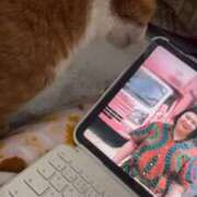 ヒメ日記 2026/02/13 00:42 投稿 すず 梅田アバンチュール