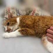 ヒメ日記 2026/02/18 23:52 投稿 すず 梅田アバンチュール