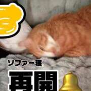 ヒメ日記 2026/02/19 08:50 投稿 すず 梅田アバンチュール