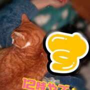 ヒメ日記 2026/02/27 12:22 投稿 すず 梅田アバンチュール