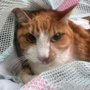 ヒメ日記 2026/03/02 12:52 投稿 すず 梅田アバンチュール