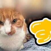 ヒメ日記 2026/03/03 01:52 投稿 すず 梅田アバンチュール