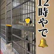 ヒメ日記 2026/03/08 12:22 投稿 すず 梅田アバンチュール