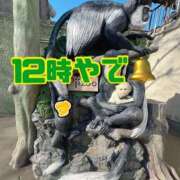 ヒメ日記 2026/03/09 12:22 投稿 すず 梅田アバンチュール