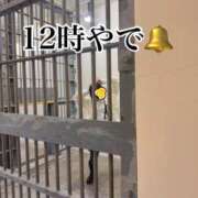 ヒメ日記 2026/03/11 12:22 投稿 すず 梅田アバンチュール