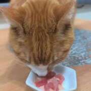 ヒメ日記 2026/03/16 12:42 投稿 すず 梅田アバンチュール