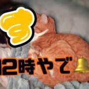 ヒメ日記 2026/03/20 12:18 投稿 すず 梅田アバンチュール