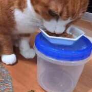 ヒメ日記 2026/03/23 13:02 投稿 すず 梅田アバンチュール