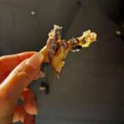 ヒメ日記 2026/03/28 04:12 投稿 すず 梅田アバンチュール