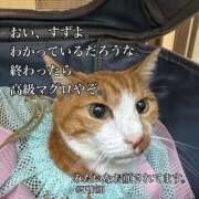 ヒメ日記 2026/03/31 12:11 投稿 すず 梅田アバンチュール