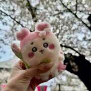 ヒメ日記 2026/04/02 13:12 投稿 すず 梅田アバンチュール