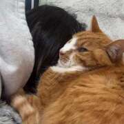 ヒメ日記 2026/04/02 20:52 投稿 すず 梅田アバンチュール