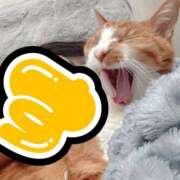 ヒメ日記 2026/04/04 00:22 投稿 すず 梅田アバンチュール