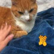 ヒメ日記 2026/04/07 23:22 投稿 すず 梅田アバンチュール