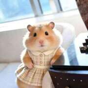 ヒメ日記 2026/04/10 12:03 投稿 すず 梅田アバンチュール