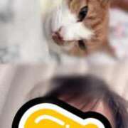 ヒメ日記 2026/04/11 22:22 投稿 すず 梅田アバンチュール