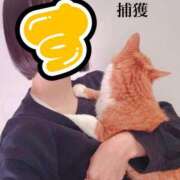 ヒメ日記 2026/04/13 11:42 投稿 すず 梅田アバンチュール