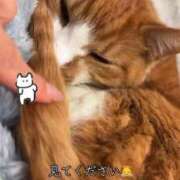 ヒメ日記 2026/04/17 00:02 投稿 すず 梅田アバンチュール