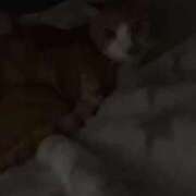ヒメ日記 2026/04/20 13:12 投稿 すず 梅田アバンチュール