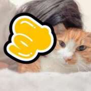 ヒメ日記 2026/05/04 11:02 投稿 すず 梅田アバンチュール