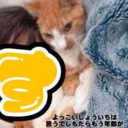 ヒメ日記 2026/05/08 20:52 投稿 すず 梅田アバンチュール