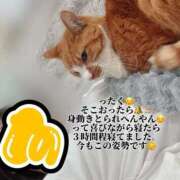 ヒメ日記 2026/05/10 17:02 投稿 すず 梅田アバンチュール