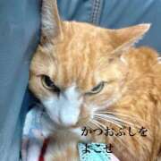 ヒメ日記 2026/05/11 12:52 投稿 すず 梅田アバンチュール