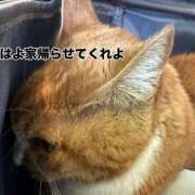 ヒメ日記 2026/05/18 15:02 投稿 すず 梅田アバンチュール