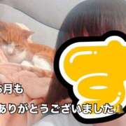 ヒメ日記 2026/05/31 23:46 投稿 すず 梅田アバンチュール