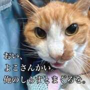 ヒメ日記 2026/06/15 18:22 投稿 すず 梅田アバンチュール