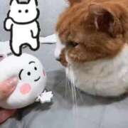 ヒメ日記 2026/06/22 11:22 投稿 すず 梅田アバンチュール