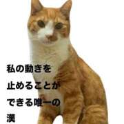 ヒメ日記 2026/06/27 09:29 投稿 すず 梅田アバンチュール