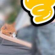 ヒメ日記 2026/06/29 16:12 投稿 すず 梅田アバンチュール