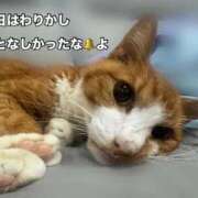 ヒメ日記 2026/07/20 09:13 投稿 すず 梅田アバンチュール