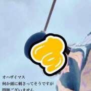 ヒメ日記 2026/10/06 07:42 投稿 すず 梅田アバンチュール