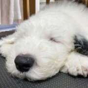 ヒメ日記 2025/05/28 13:46 投稿 りか(人妻) THE・TRY