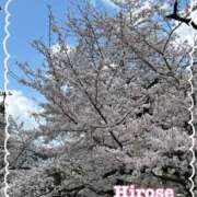 ヒメ日記 2025/04/07 17:46 投稿 広瀬 昼顔妻 五反田店